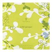 Thymes Wild Ginger Bath Powder Envelope