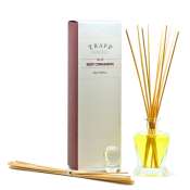 Trapp No 39 Sexy Cinnamon- Diffuser