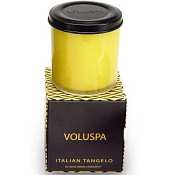 Voluspa Basics Candles-Italian Tangelo