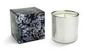 Voluspa 5oz Candle-Frost Pinecone