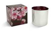 Voluspa 5oz Candle-Japanese Plum Bloom