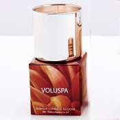 Voluspa 5 oz Metallic Candle-Metallic Box - Dahlia Orange Bloom