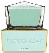 Voluspa two-wick perfume candle-Tuberosa Agave