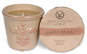 Votivo Anjou Pear candle-terracotta jar