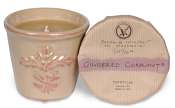 Votivo Gingered Currant candle-terracotta jar