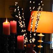 Pussy Willow (Natural) Lights 80 Bulbs -Light Garden