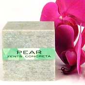ZENTS Pear Concreta Solid Perfume